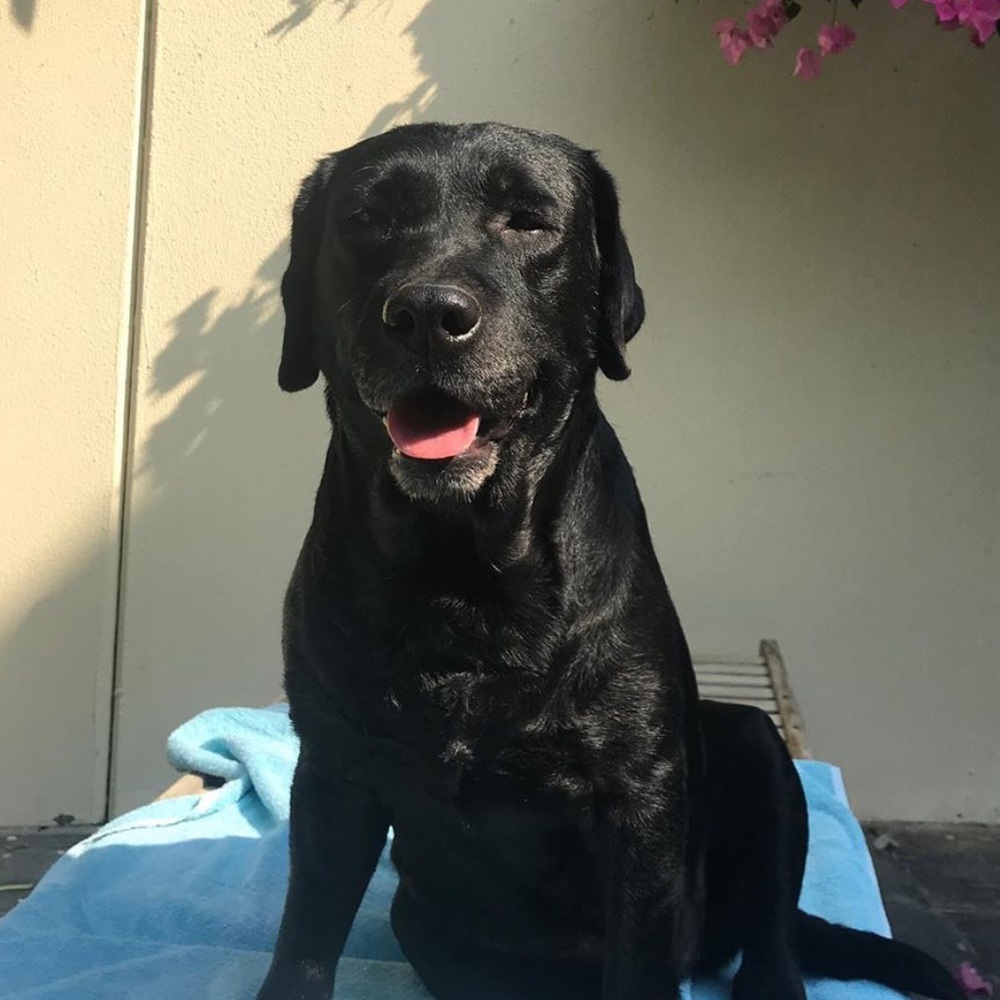 Meet your Posher, Sara